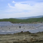 landfilli bushat 2