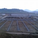 tirana 5